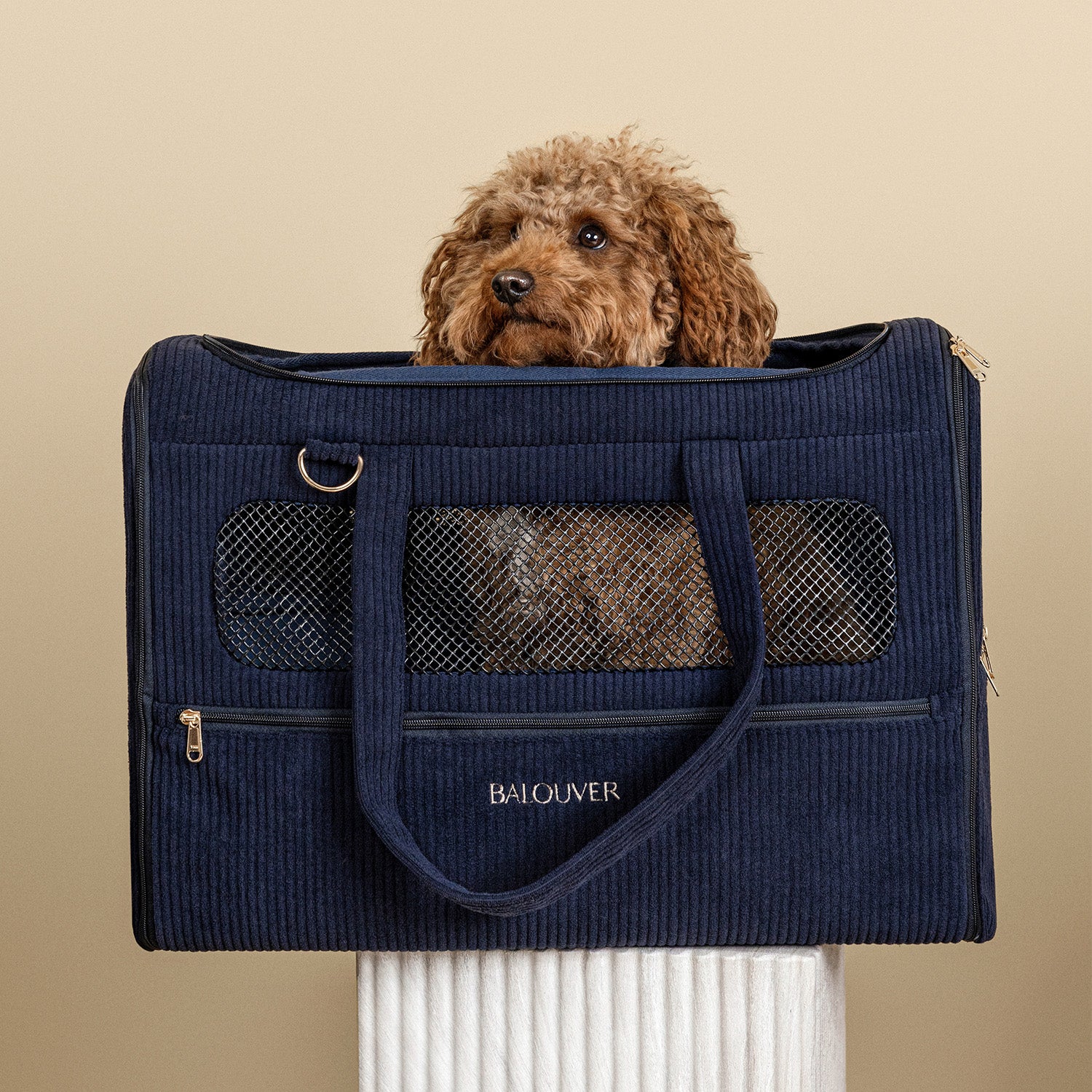 Hundetasche 55x40x23 cm – BALOUVER mit Hund in Deep Sea Blue