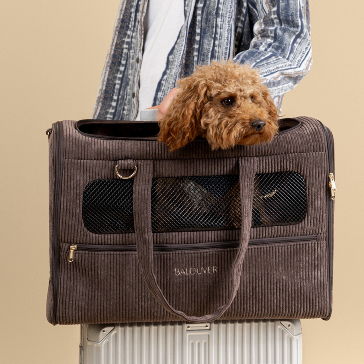 Premium Dog Carrier 55x40x23 cm – BALOUVER Cord Mocha Brown | IATA Airline Approved