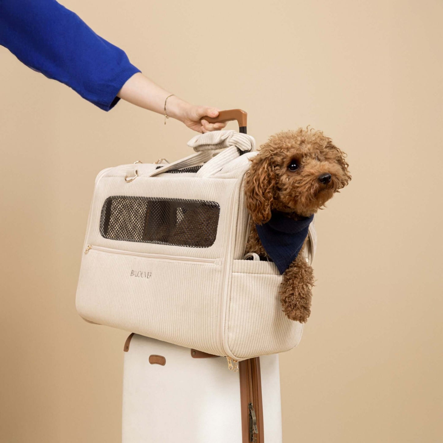 BALOUVER Hundetasche Cord Sandstone Beige