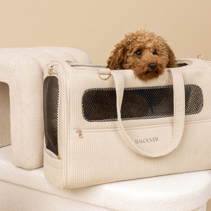 BALOUVER Hundetasche Cord Sandstone Beige