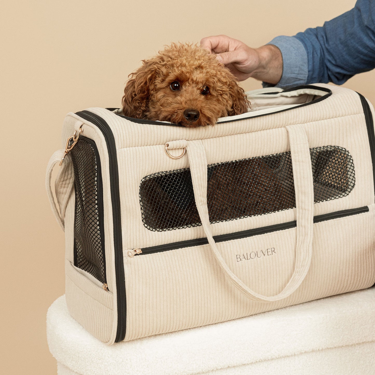 BALOUVER Hundetasche Cord Sandstone Black